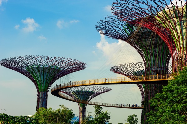 SGSIN - Singapore - Gardens by the Bay - Credits Singapore Tourism Board.jpg